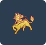 鑫寳
